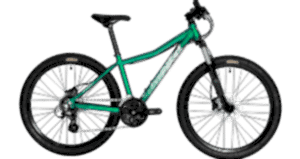 Corratec X-Vert Rock 26 Jant Dağ Bisikleti - Green/Black/Gray
