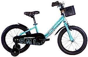 Geotech Smile 16 Jant Çocuk Bisikleti - Turkuaz