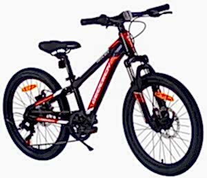 Geotech Path XCK 20 Jant Çocuk Bisikleti - Siyah/Kırmızı