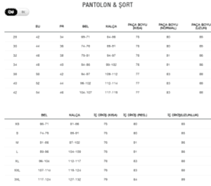 The North Face Lightning Erkek Pantolon Gri