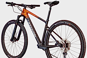 Cannondale Scalpel HT Carbon 2 29 Jant Dağ Bisikleti - Tiger Eye