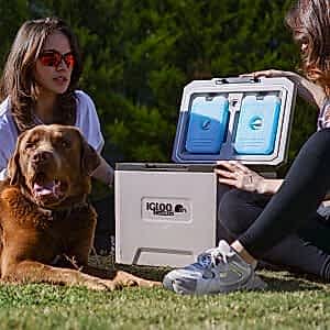 IGLOO CoreMAX 22 Buzluk 22 Litre