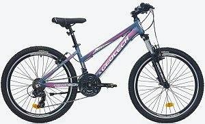 Geotech Path 24 Econ 4 24 Jant 21 Vites Çocuk Bisikleti - Gri/Pembe