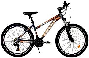 Geotech Mode 26 Econ 4 26 Jant 21 Vites Dağ Bisikleti - Gri/Turuncu