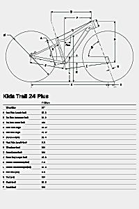 Cannondale Kids Trail Plus 24 Jant Çocuk Bisikleti - Fire Orange