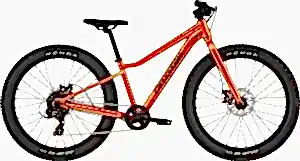 Cannondale Kids Trail Plus 24 Jant Çocuk Bisikleti - Fire Orange